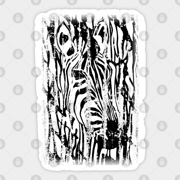 Distressed Zebra Sticker by Alan Hogan